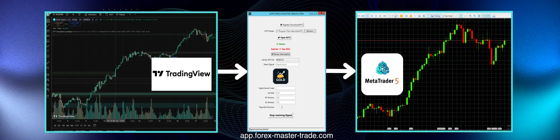 Forex Master Trade - TradingView to MT5 trading client software